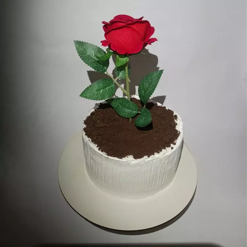 CELEBRAÇÃO MAE COM FLOR !