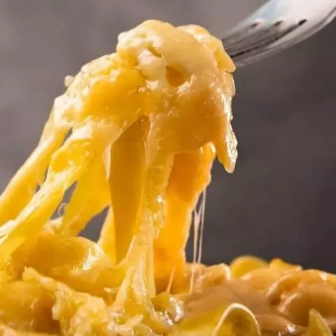 Fettucine ao molho cheddar