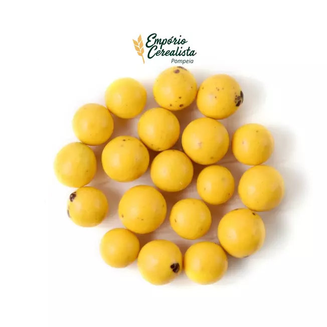 Caju com Chocolate e Maracuja - 100g