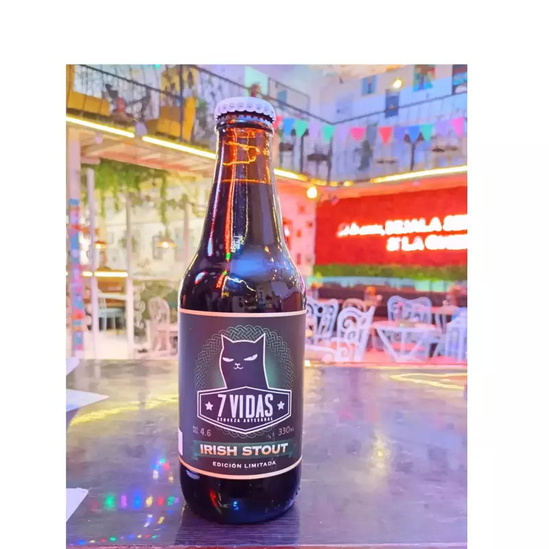 7 Vidas irish stout