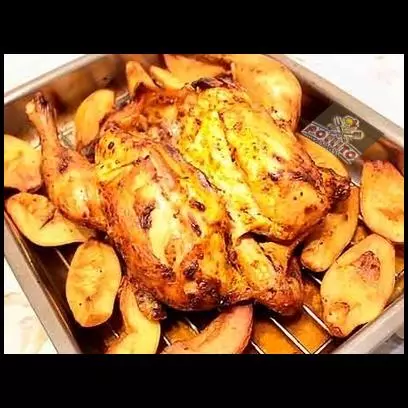 Pollito Dorado Peruano          P15