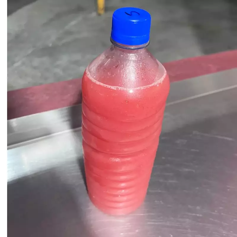 agua natural de sandia