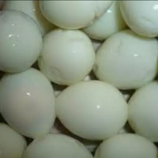 OVO DE CODORNA (GRANEL)