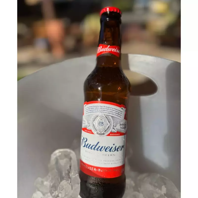 BUDWEISER UNID. 330ML
