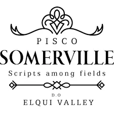 PISCO SOMERVILLE