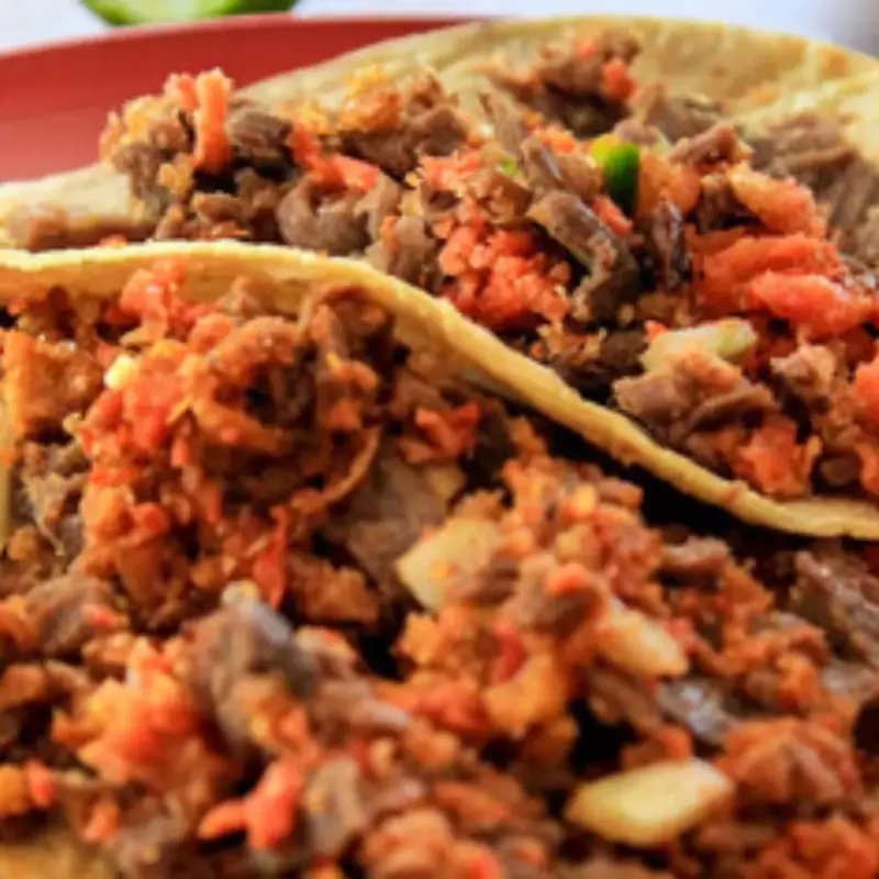 (TH) Taco Campechano