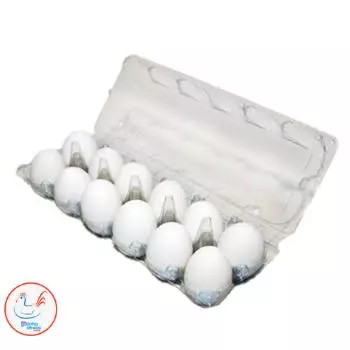 Ovos Zooovo com 12und