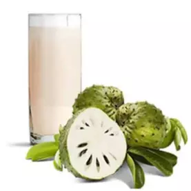 Suco de Graviola 400ml