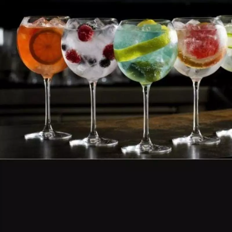 Drink Gin Tonica Sabores