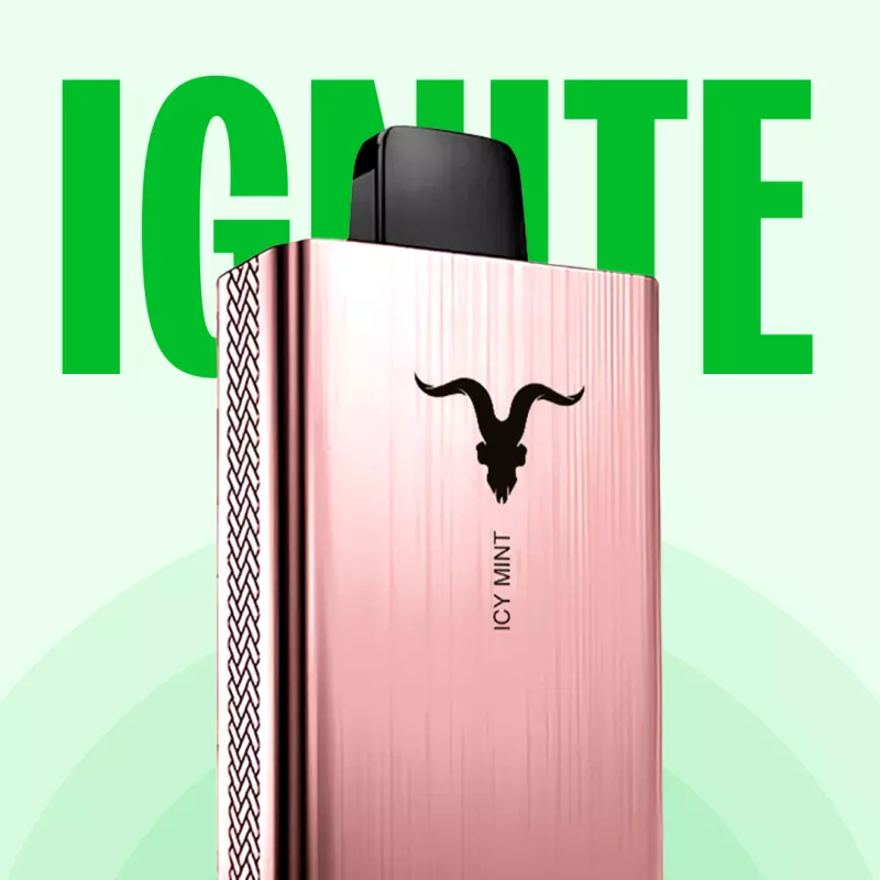 IGNITE V250 ROSE - 25.000 💨