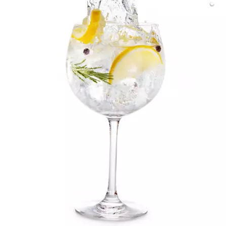 Gin & Tonic