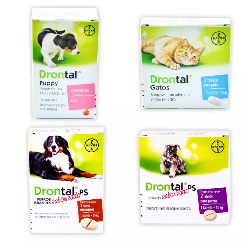 Drontal