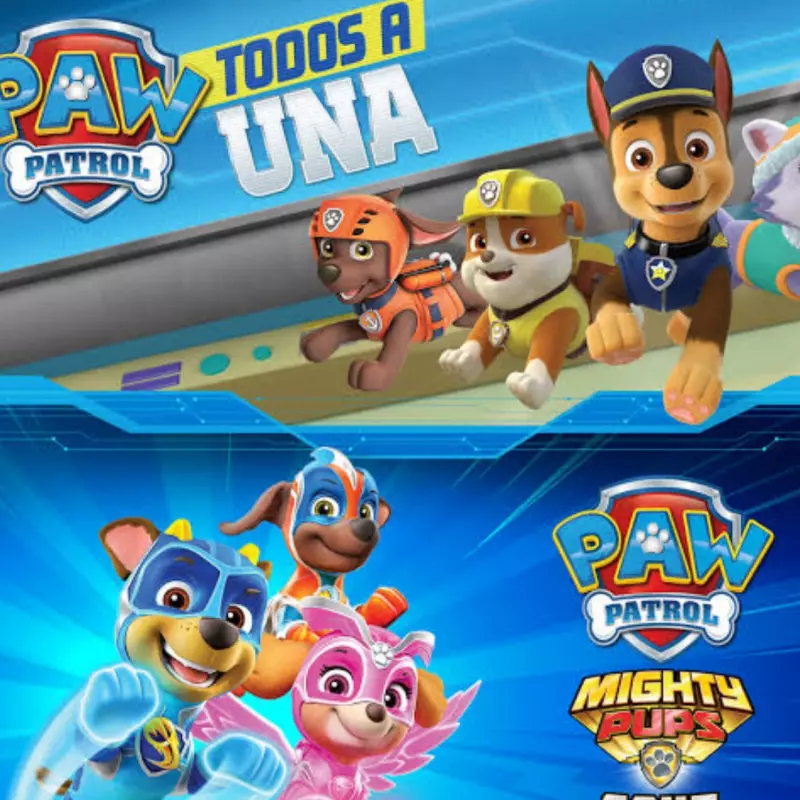 Paw Patrol Lote (2 Jugadores)