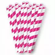 Canudo de Papel Listrado Pink