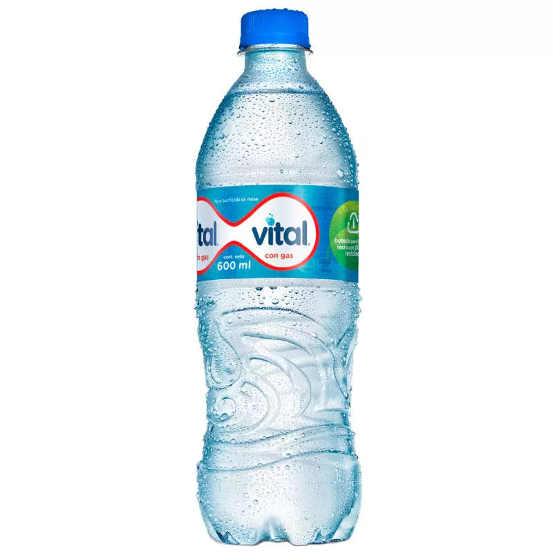 Agua Vital con Gas 600 ml