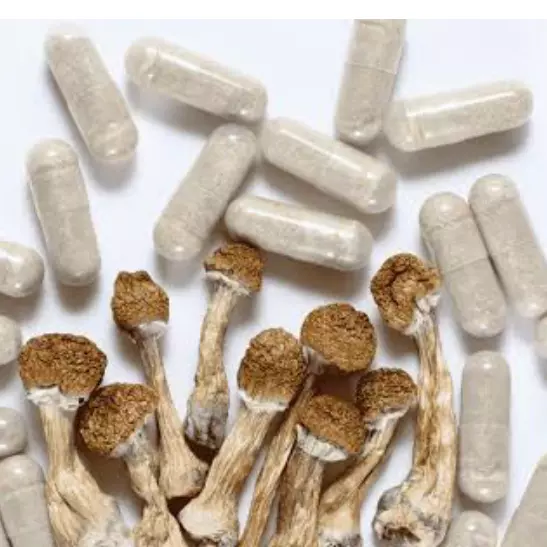 •CÁPSULAS DE HONGOS ALUCINÓGENOS