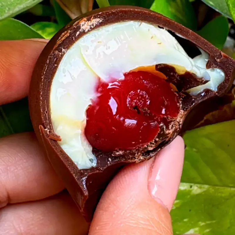 Trufa Ninho com Cereja 40 gr
