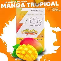ZGY: Manga Tropical