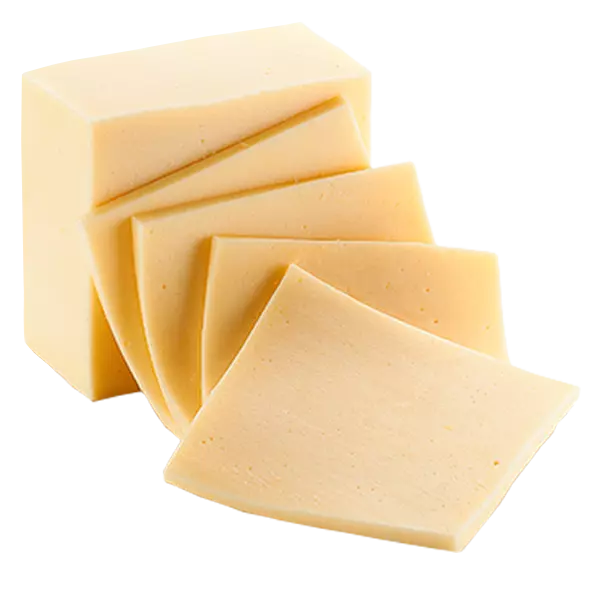 1 REBANADA DE QUESO DAMBO