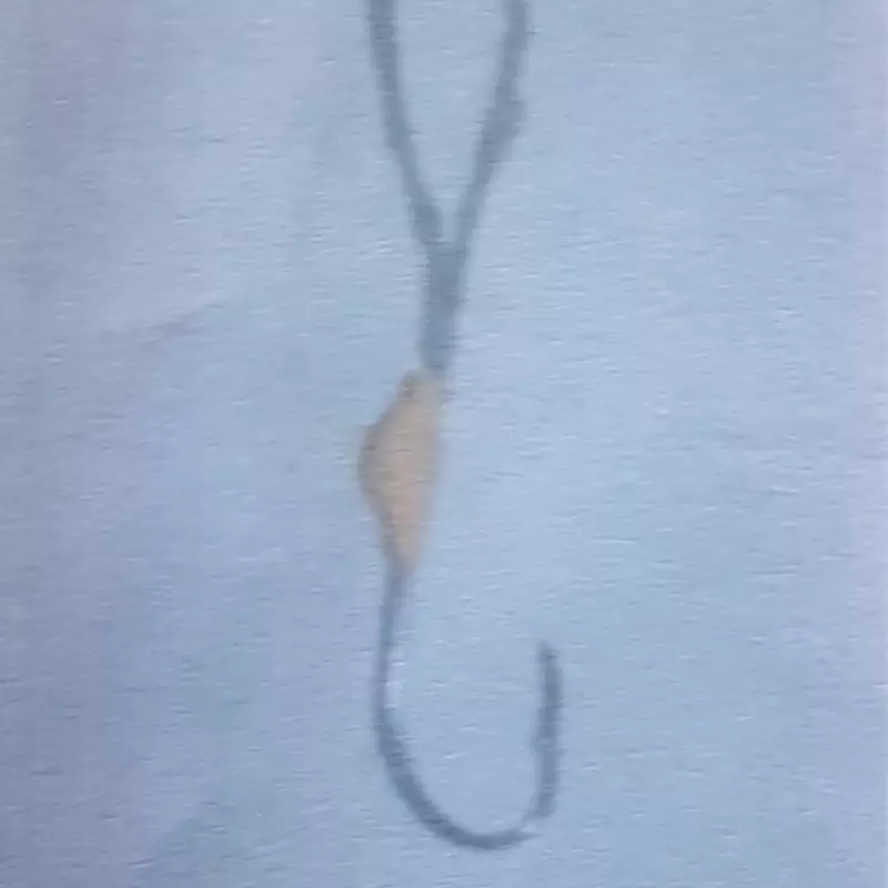 SUPORTE HOOK ANZOL CHINU BLECK Nº 5