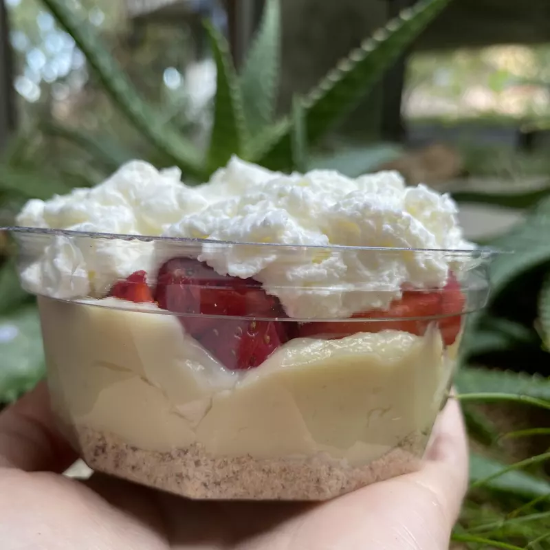 Morangoffee congelada