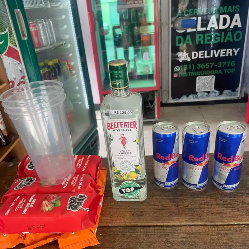 COMBO BEEFEATER BOTANICS RED BULL