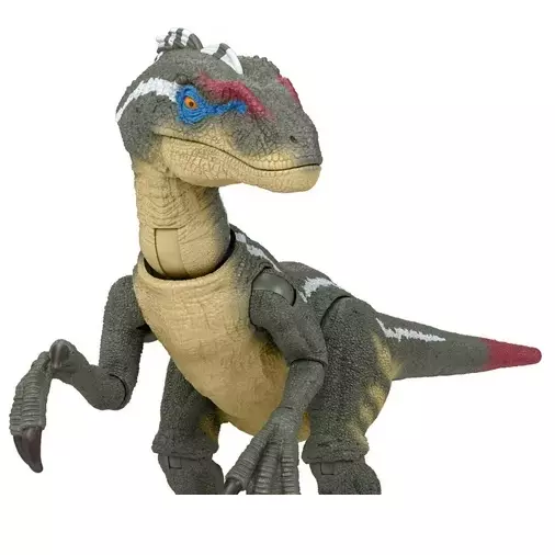 velociraptor Alpha macho - Hammond