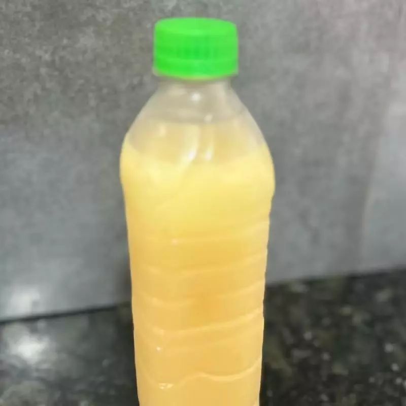 Suco de caju 500ml