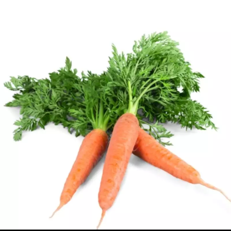 Zanahoria Orgánica x 250gr