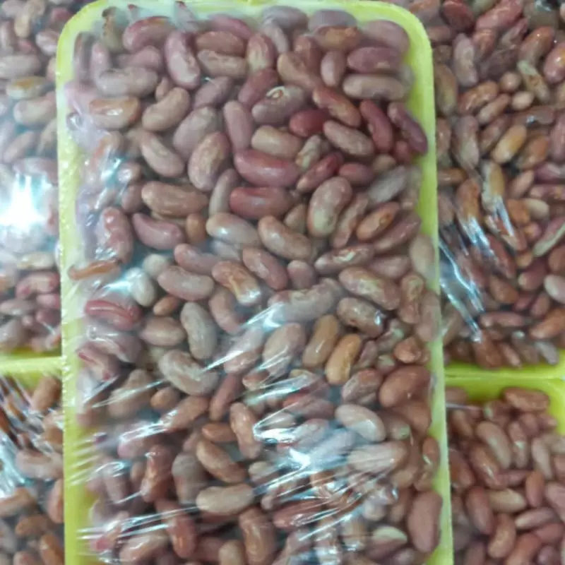 FRIJOL TIERNO BANDEJA