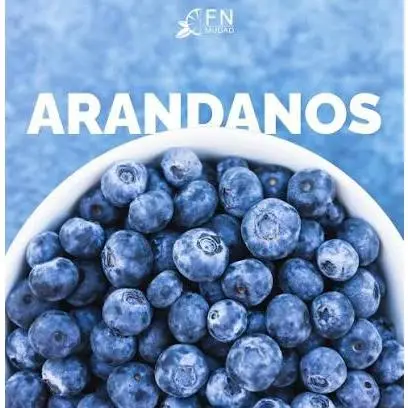 Arandanos x 1 kilo