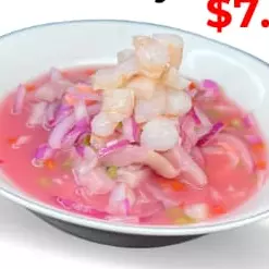 CEVICHE TOY