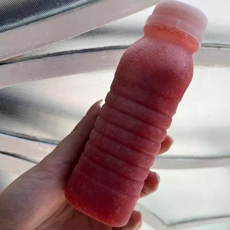 Suco da Fruta
