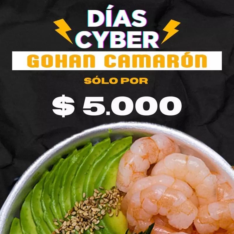 CYBER GOHAN CAMARÓN