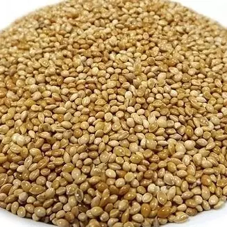 PAINÇO COMUM KG (332)