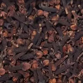 Cravo-da-índia (Ivonete)