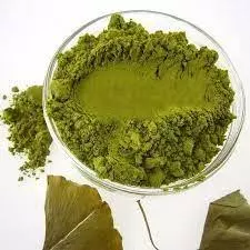 Gingko Biloba em Pó