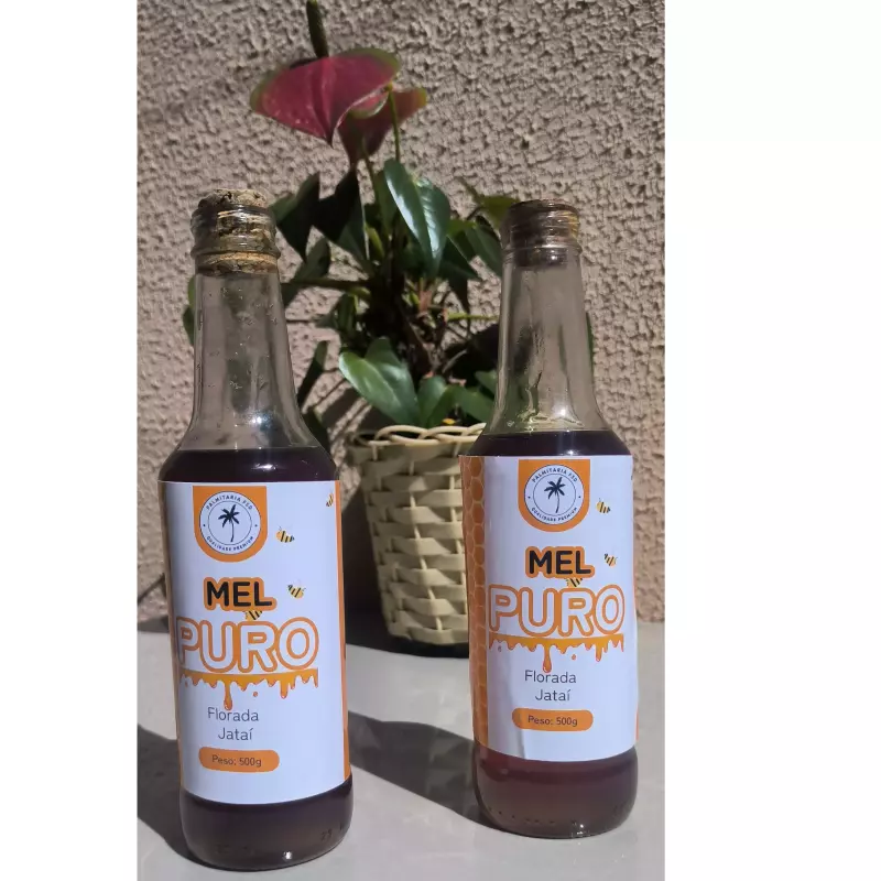 Mel de Jataí - 500ml