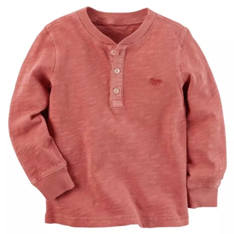 Remera Terra