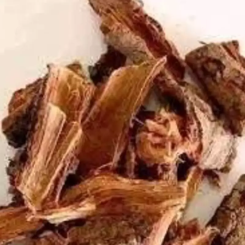 Cajueiro em casca