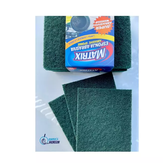 R10142-BRILLO FREGAR MATRX