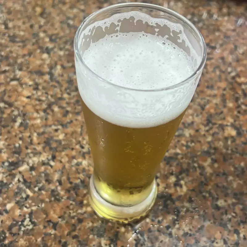 Chopp Brahma  zero grau