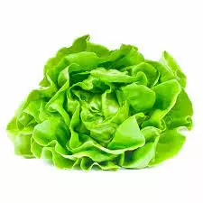 Lechuga Manteca x 250g (121)