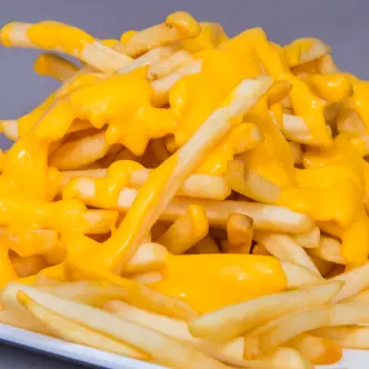 Fries & Cheese