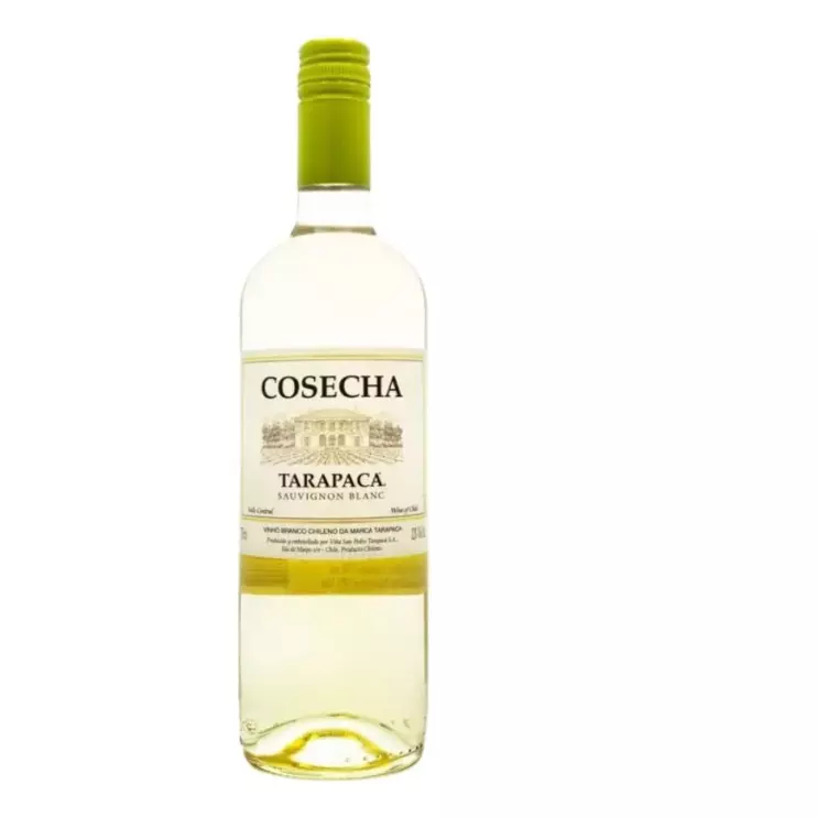 COSECHA TARAPACA LEON SAUVI BLANC