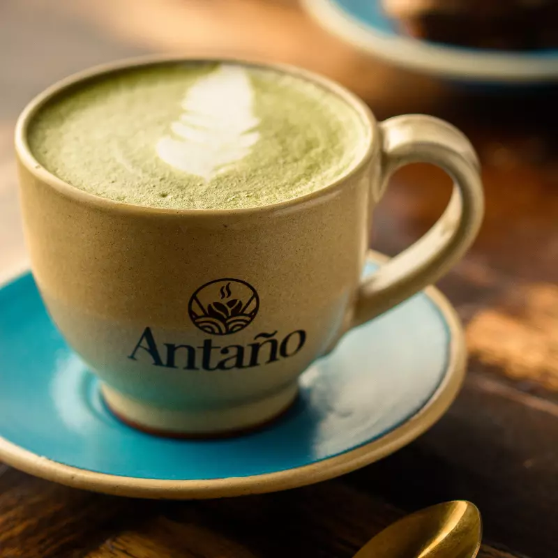 Matcha caliente (7 onzas)