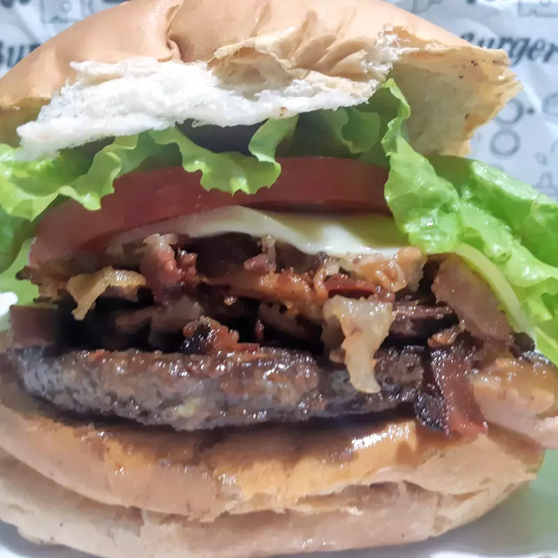 (3)Hambúrguer especial