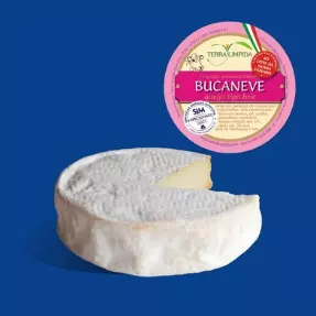 Bucaneve