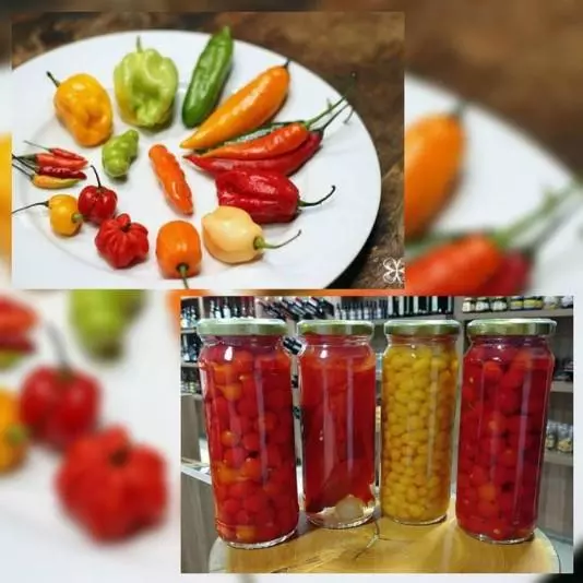 Pimentas🌶️🌶️