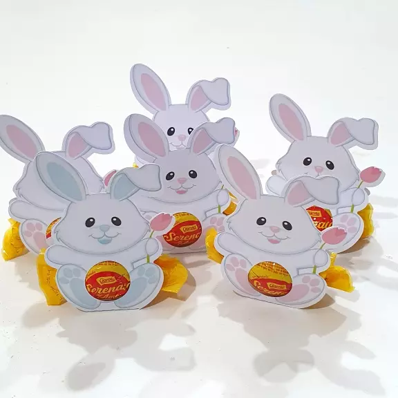 Coelho barriguinha de bombom